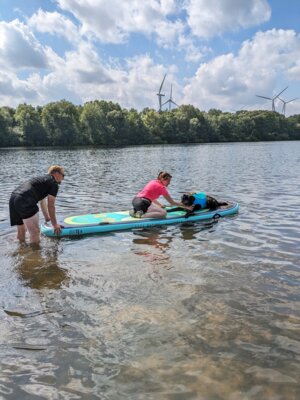 Vorschaubild: Aqua Marina SUPER TRIP im Einsatz beim SUP mit Hund Anfängerkurs, schwarzer Labbi auf dem Board, Bremen