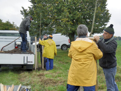 Vorschaubild: Pflanzarbeiten an Obstbaumreihe, Groß Saubernitz (2016)