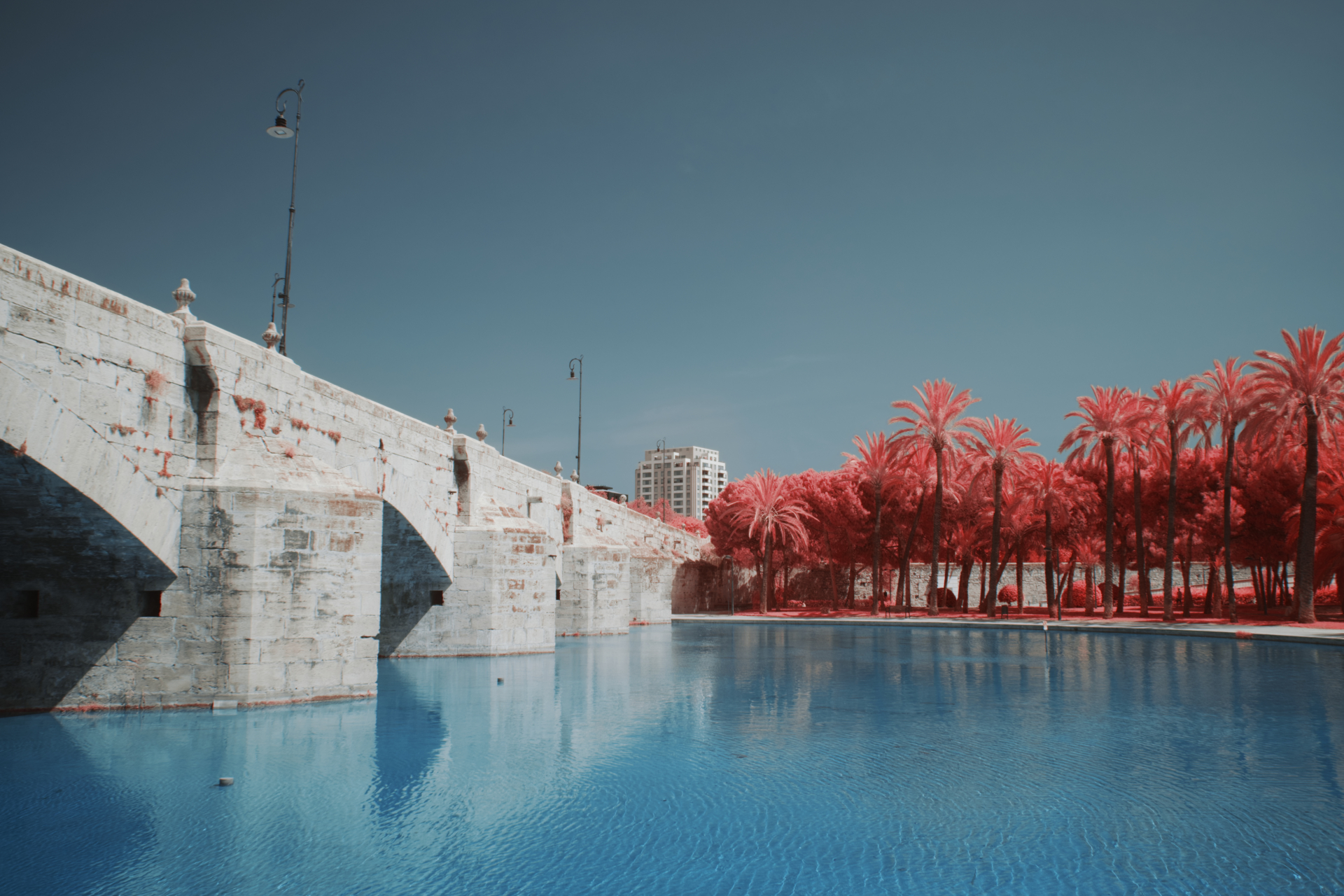 ff Biome in Valencia  (Bild vergr&ouml;&szlig;ern)