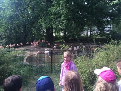 Vorschaubild: Vorträge im Zoo