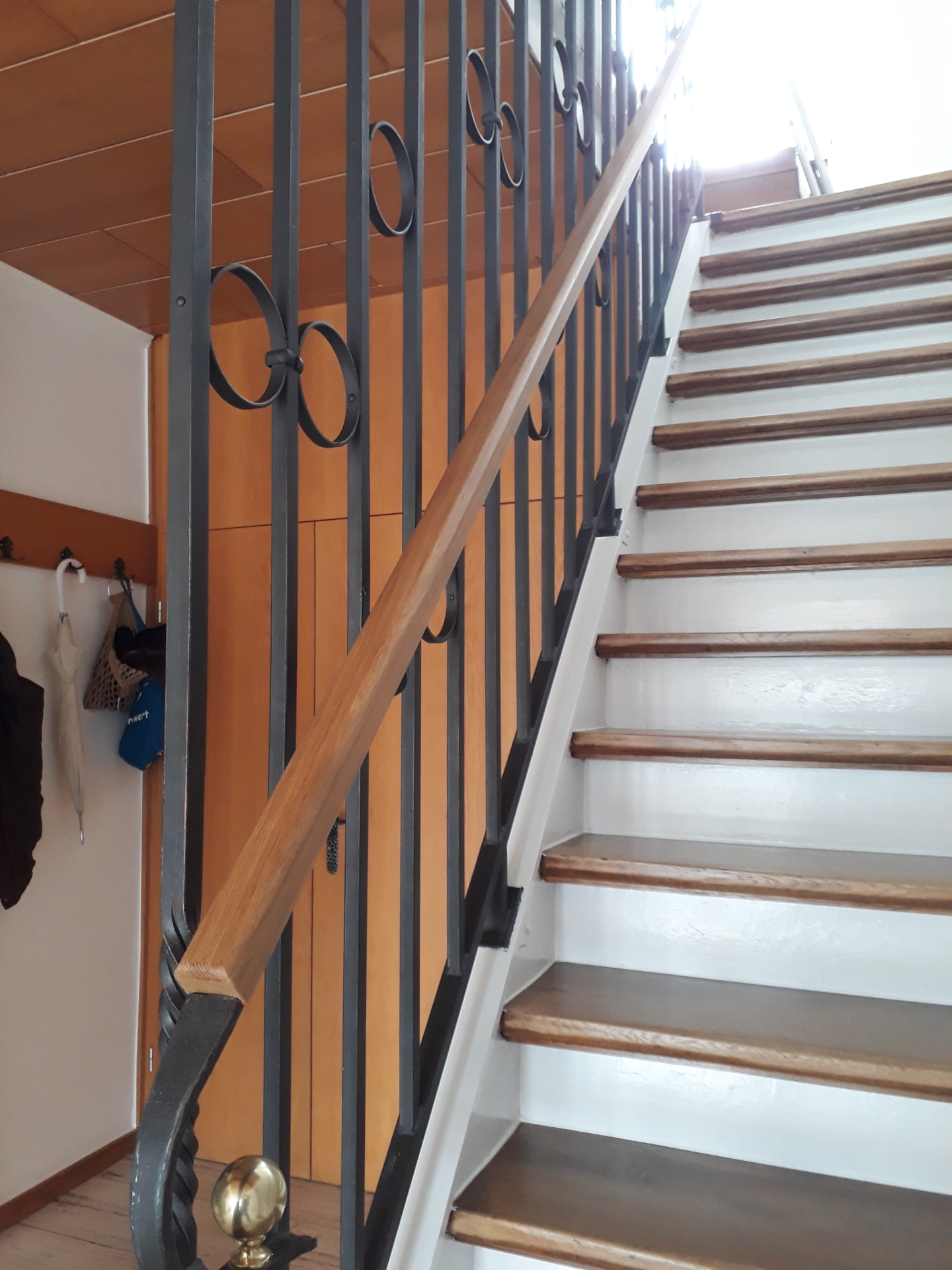 Treppengel&auml;nger und Treppe  (Bild vergr&ouml;&szlig;ern)