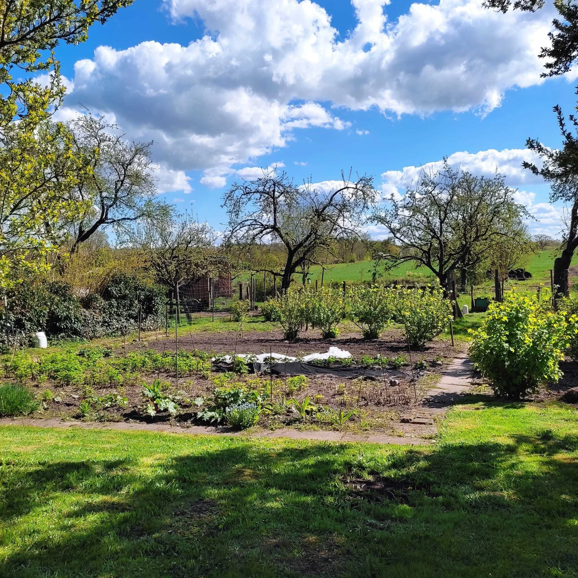 Bild: Gemüse- und Obstgarten
