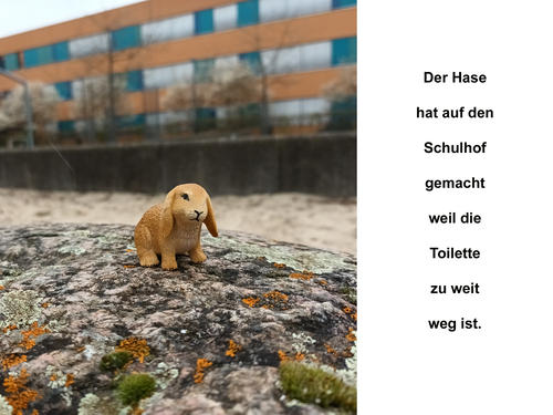 III.  (Bild vergr&ouml;&szlig;ern)