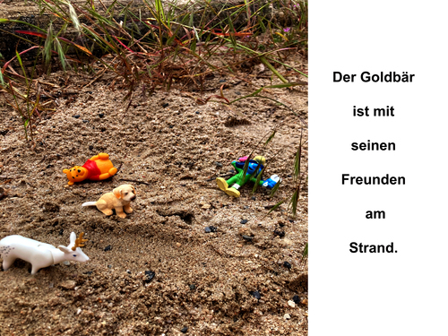 XIII.  (Bild vergr&ouml;&szlig;ern)
