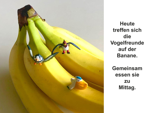XIV.  (Bild vergr&ouml;&szlig;ern)