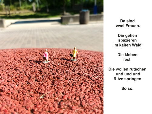 XV.  (Bild vergr&ouml;&szlig;ern)