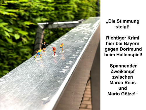 XVI.  (Bild vergr&ouml;&szlig;ern)