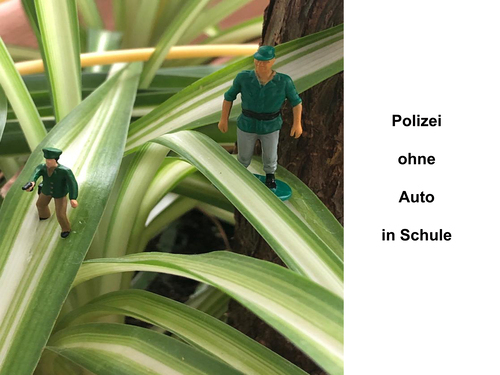 XX.  (Bild vergr&ouml;&szlig;ern)