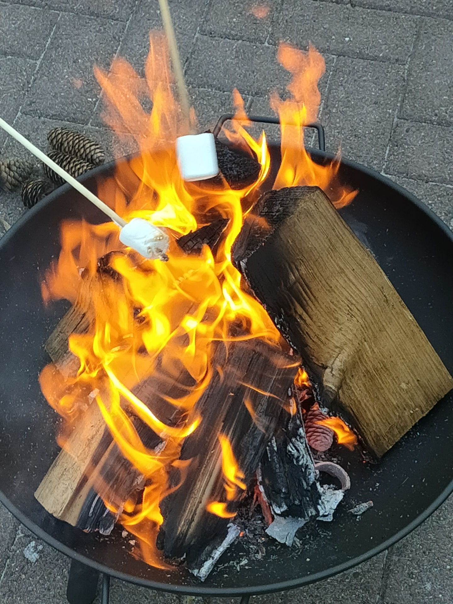 Bild: Feuerschale