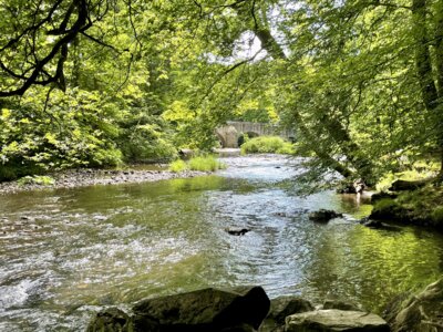 Vorschaubild: Fluss Nister bei Kloster Marienstatt
