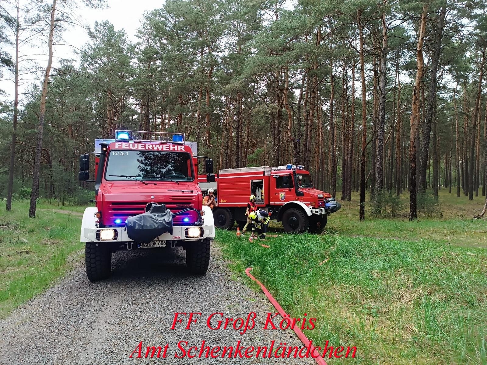 Foto der Galerie: Einsatz Nr. 21/2024 B:Wald-Groß/WSP