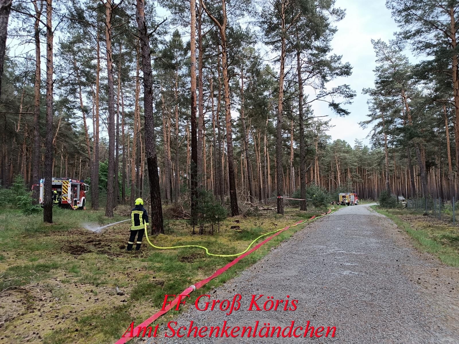 Foto der Galerie: Einsatz Nr. 21/2024 B:Wald-Groß/WSP