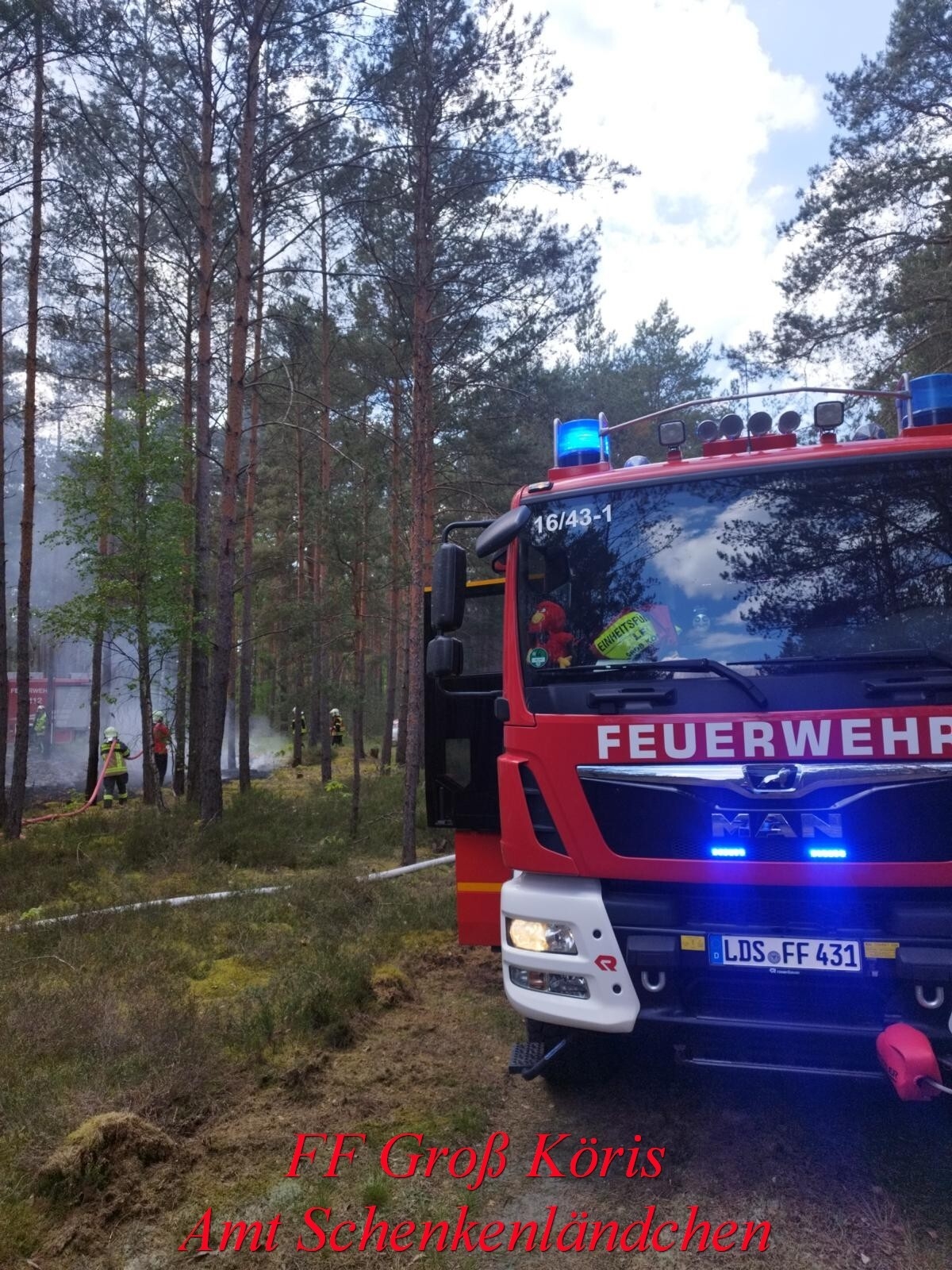 Foto der Galerie: Einsatz Nr. 22/2024 B:Wald-Groß/WSP