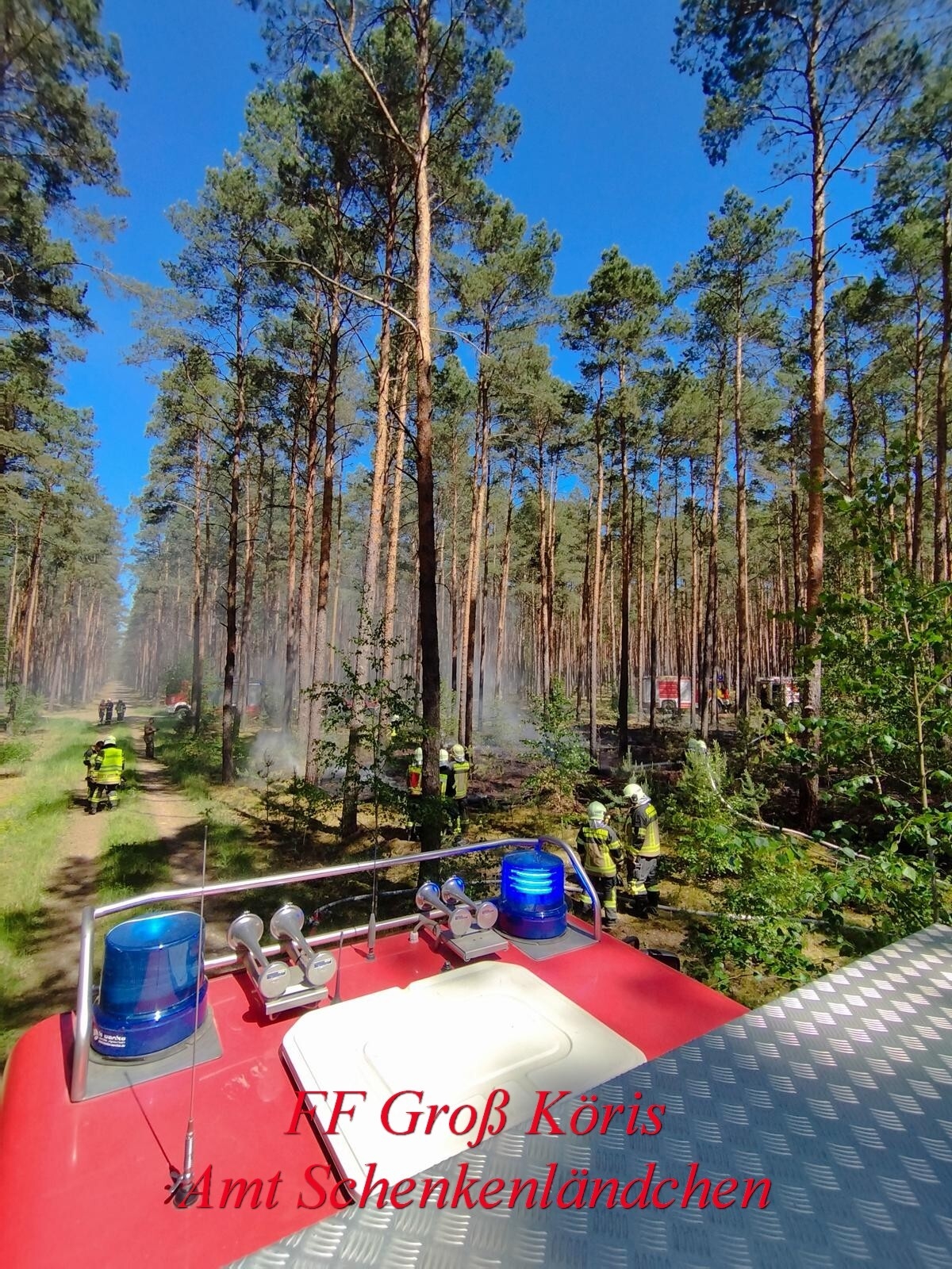 Foto der Galerie: Einsatz Nr. 24/2024 B:Wald-Gross/WSP