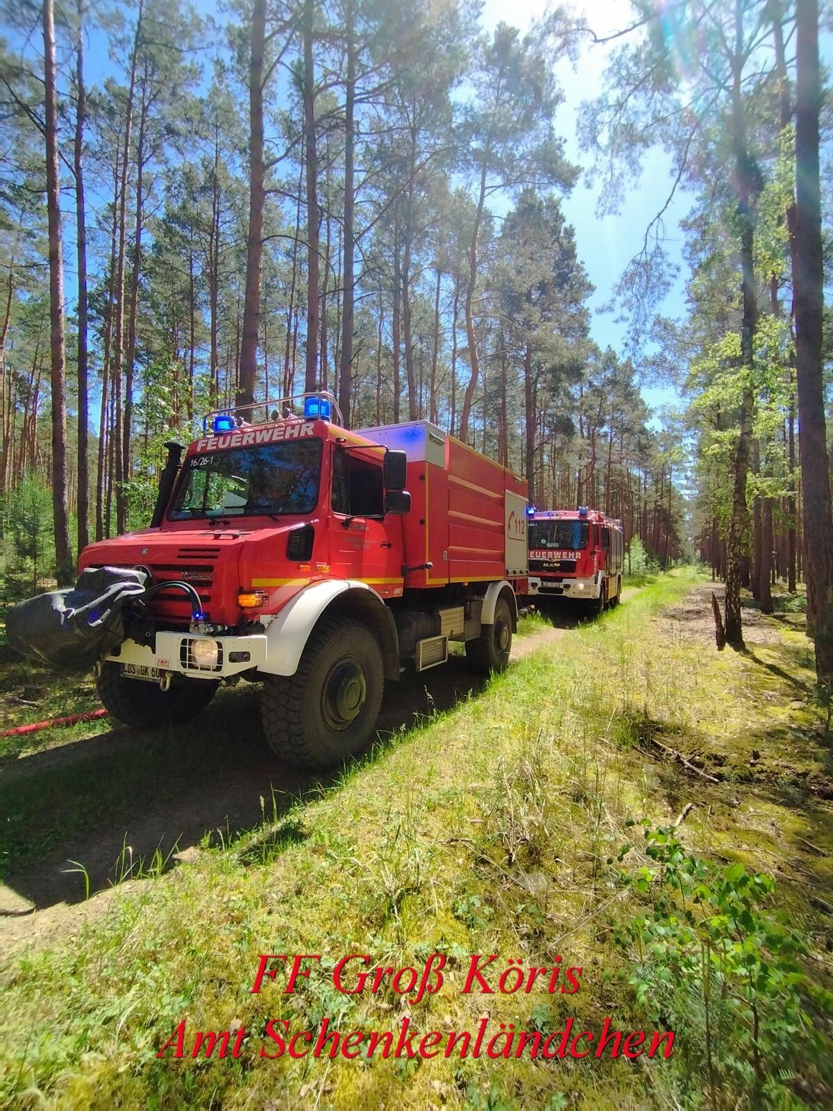 Foto der Galerie: Einsatz Nr. 24/2024 B:Wald-Gross/WSP