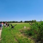 Foto der Galerie: Südmährer-Reise „Kultur und Wandern rund um Znaim“