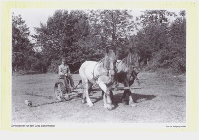 Vorschaubild: moderne Landwirtschaft in den 1950er bis 1960er Jahre - 0017