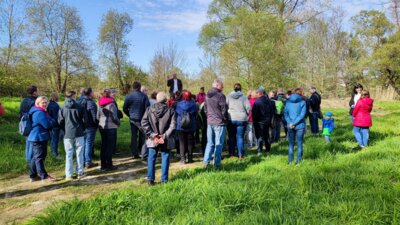 Vorschaubild: Unterwegs im Feuchtgebiet Jablonne v Podjestedi