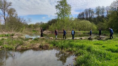 Vorschaubild: Unterwegs im Feuchtgebiet Jablonne v Podjestedi
