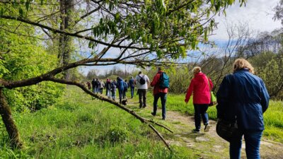 Vorschaubild: Unterwegs im Feuchtgebiet Jablonne v Podjestedi