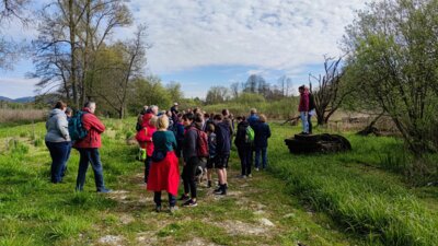 Vorschaubild: Unterwegs im Feuchtgebiet Jablonne v Podjestedi