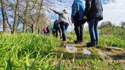 Vorschaubild: Unterwegs im Feuchtgebiet Jablonne v Podjestedi