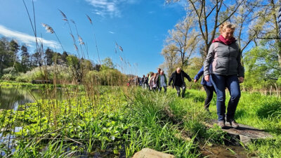 Vorschaubild: Unterwegs im Feuchtgebiet Jablonne v Podjestedi