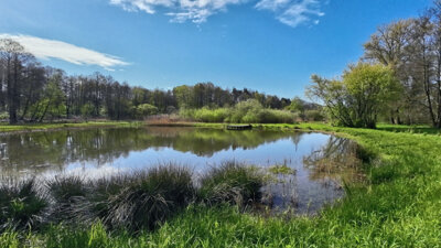 Vorschaubild: Unterwegs im Feuchtgebiet Jablonne v Podjestedi
