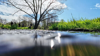 Vorschaubild: Unterwegs im Feuchtgebiet Jablonne v Podjestedi