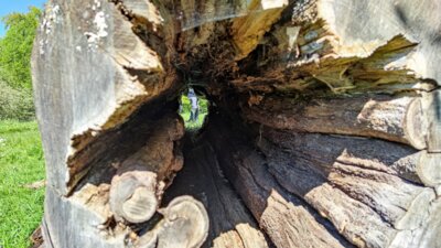 Vorschaubild: Unterwegs im Feuchtgebiet Jablonne v Podjestedi