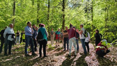 Vorschaubild: Unterwegs im Gebiet Sedmihorky