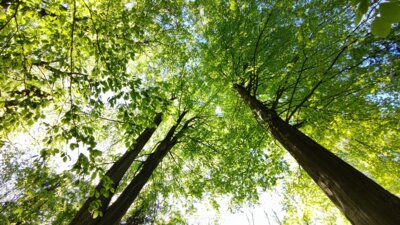 Vorschaubild: Unterwegs im Gebiet Sedmihorky