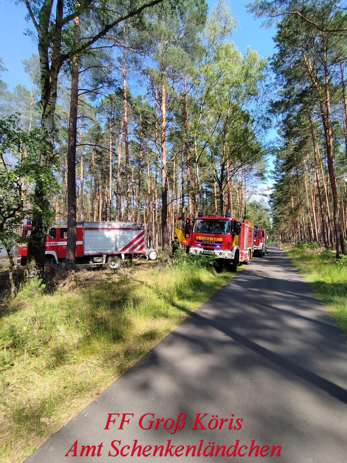 Foto der Galerie: Einsatz Nr. 39/2024 B:Wald-Gross/WSP