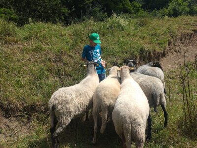 Vorschaubild: JuNa- Kinder und dickfellige Vierbeiner