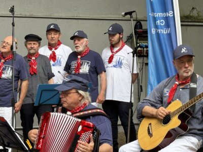 Vorschaubild: Bässe mit Musiker