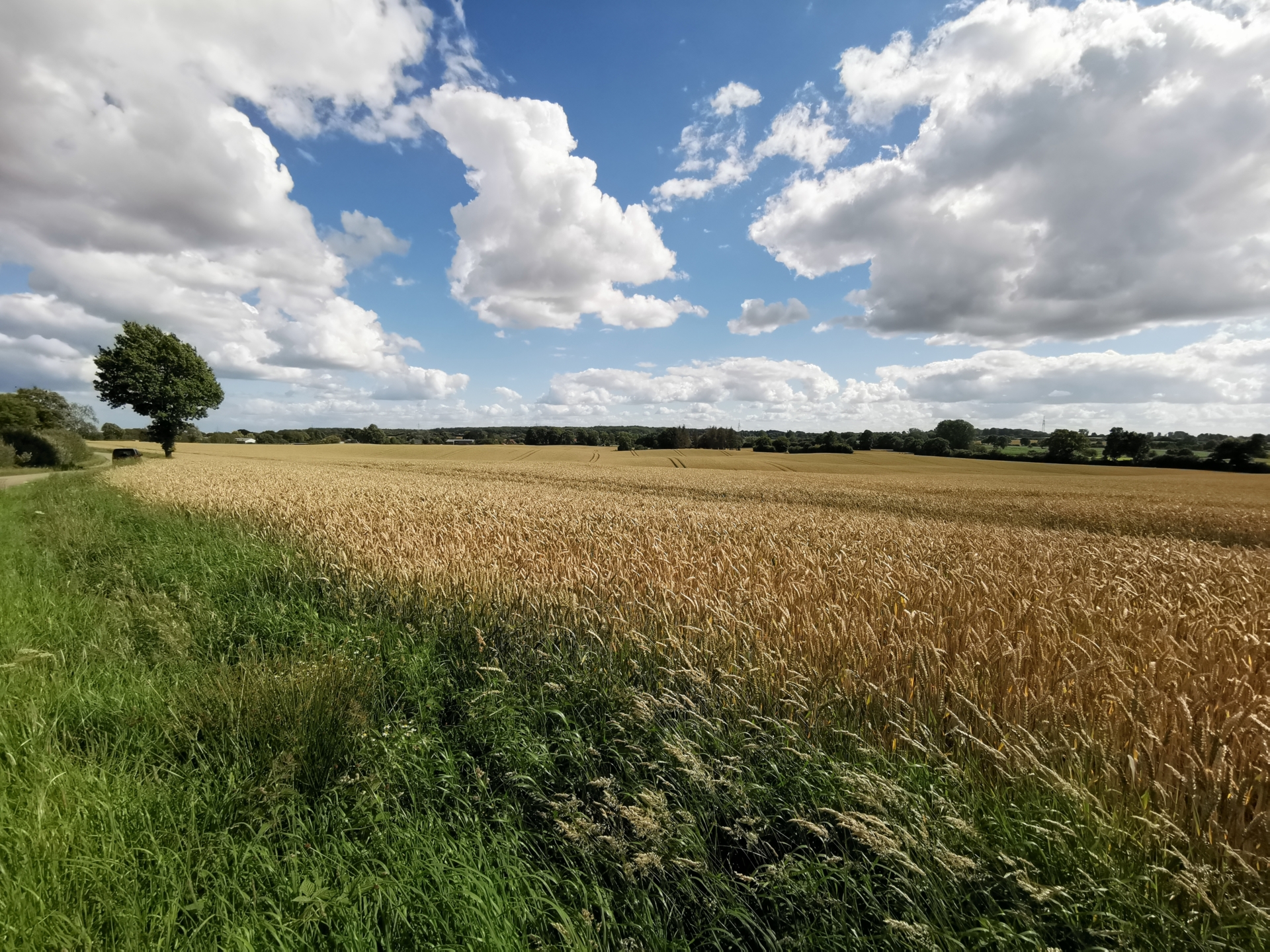 Bild: Ein weites Feld unter einem Himmel mit sanft ziehenden Wolken – die Stille und Weite der ländlichen Landschaft.