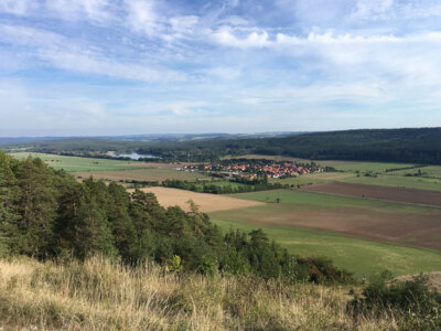 Vorschaubild der Galerie