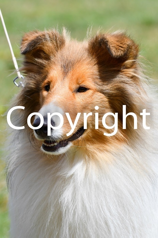Foto der Galerie: 07.07.2024 Blumenow