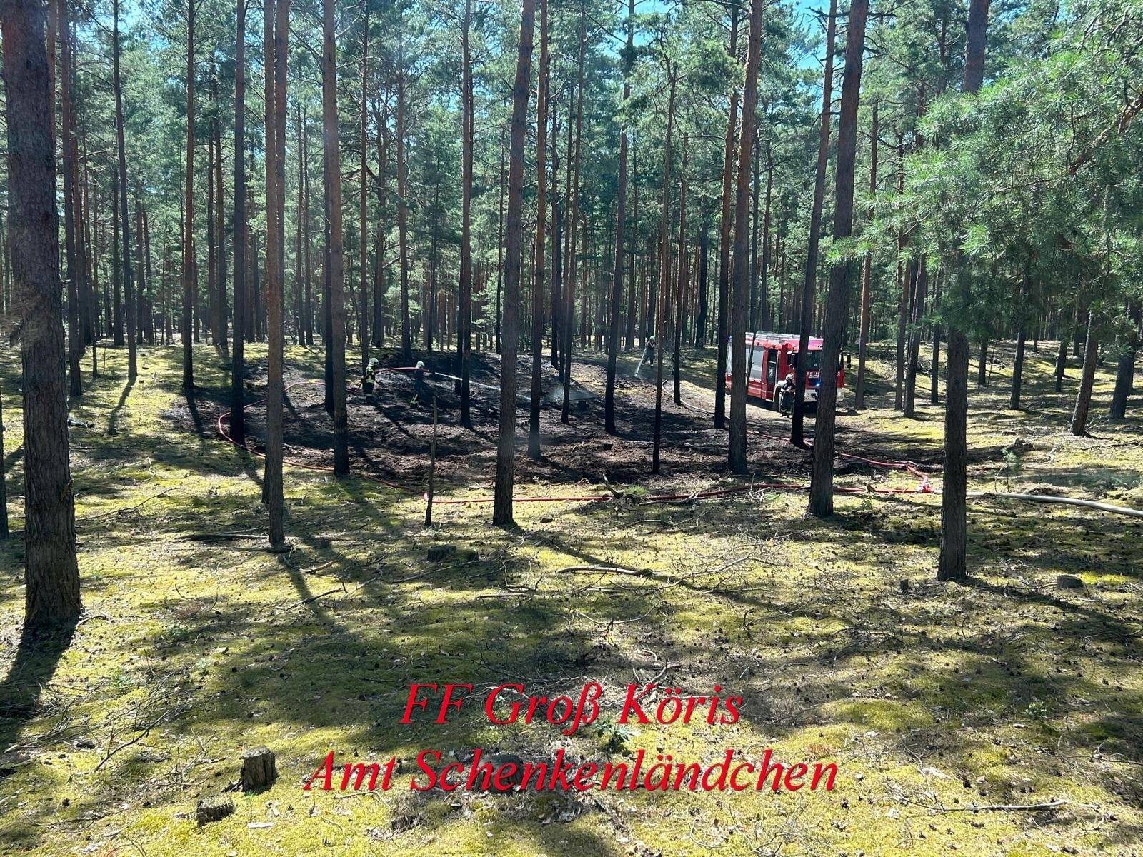 Foto der Galerie: Einsatz Nr. 45/2024 B:Wald-Groß/WSP