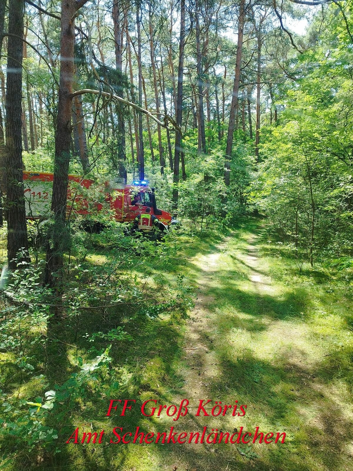 Foto der Galerie: Einsatz Nr. 45/2024 B:Wald-Groß/WSP