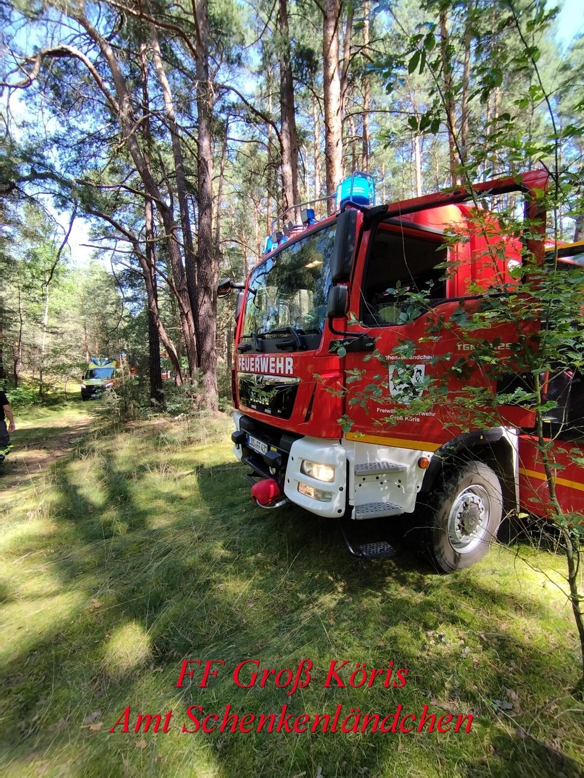 Foto der Galerie: Einsatz Nr. 45/2024 B:Wald-Groß/WSP
