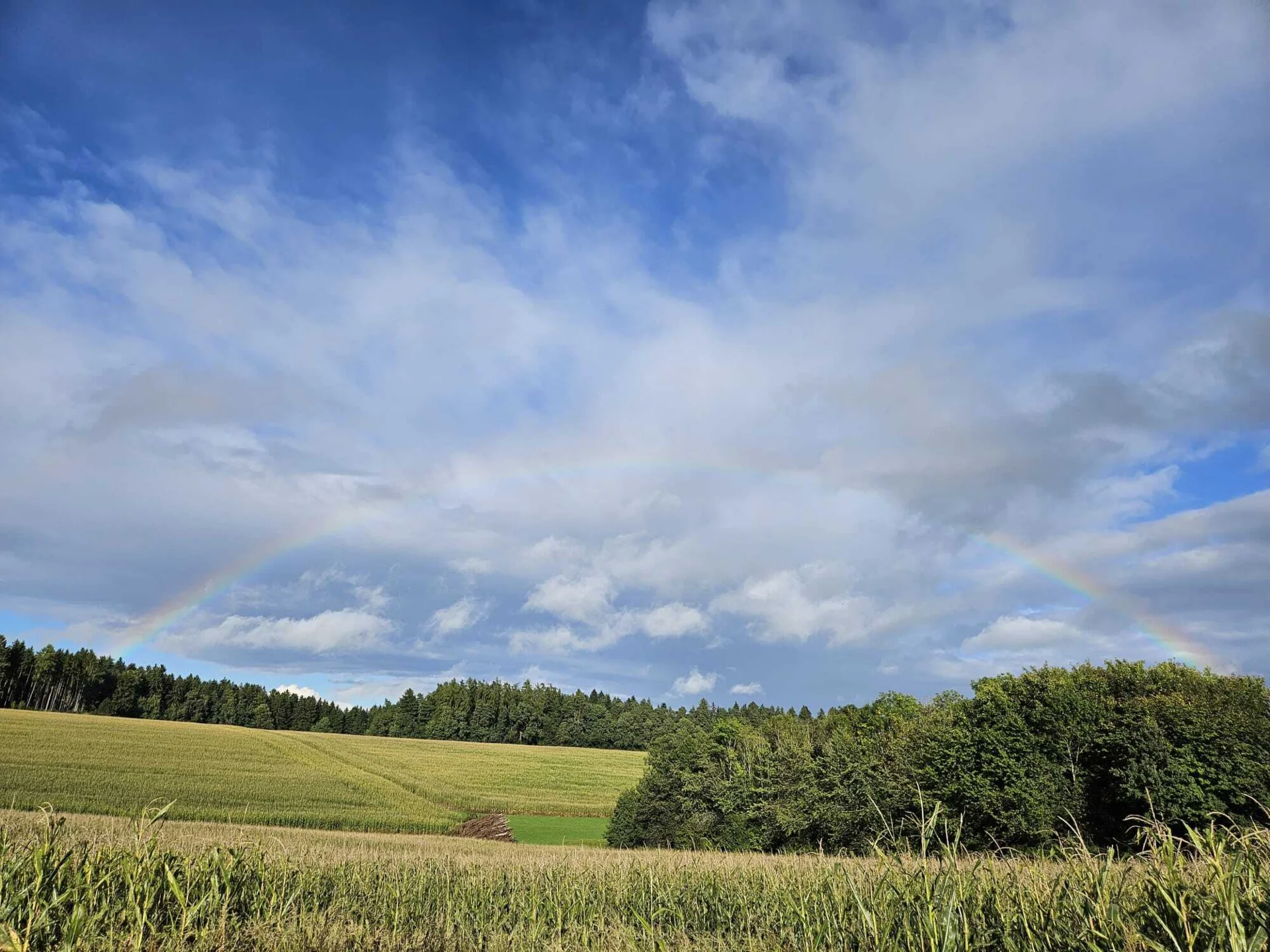 Bild: Landschaft, Reut