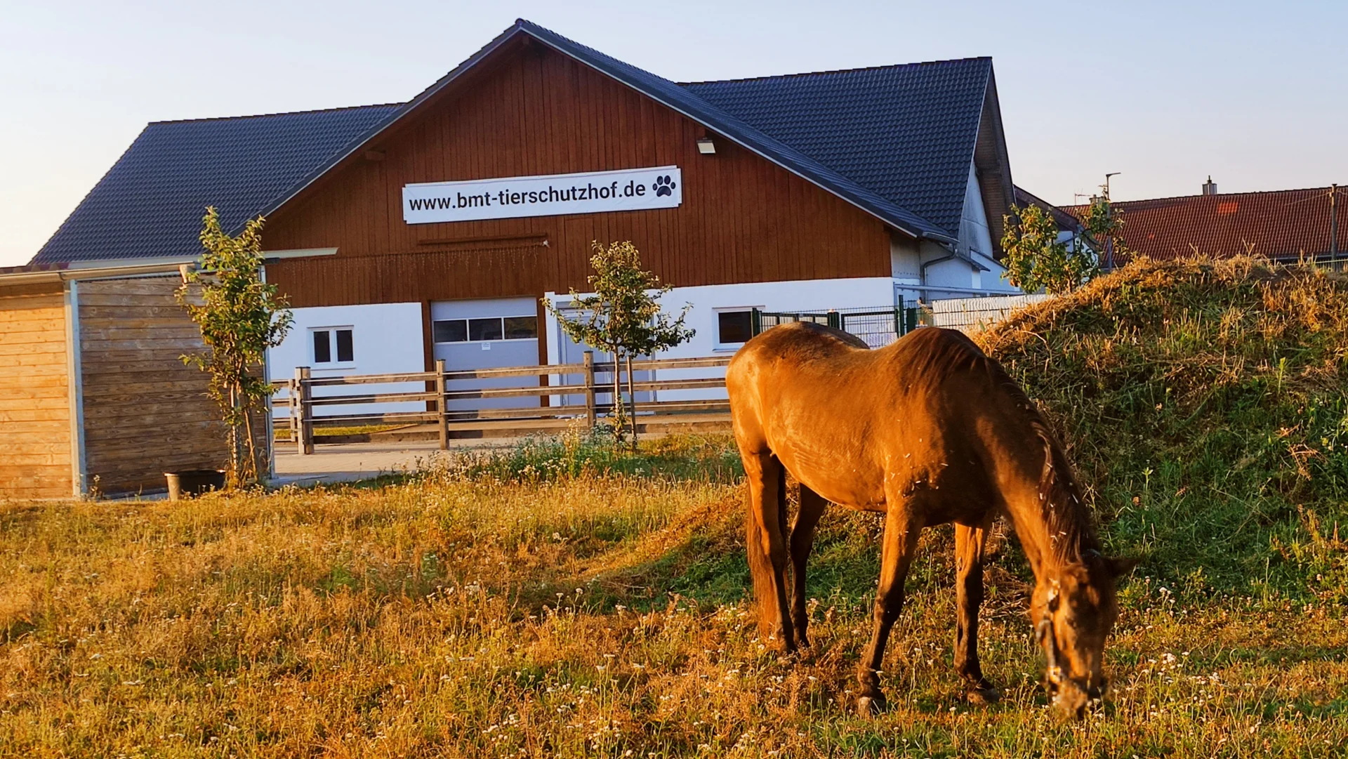 Bild: Tierschutzhof BMT, Ering