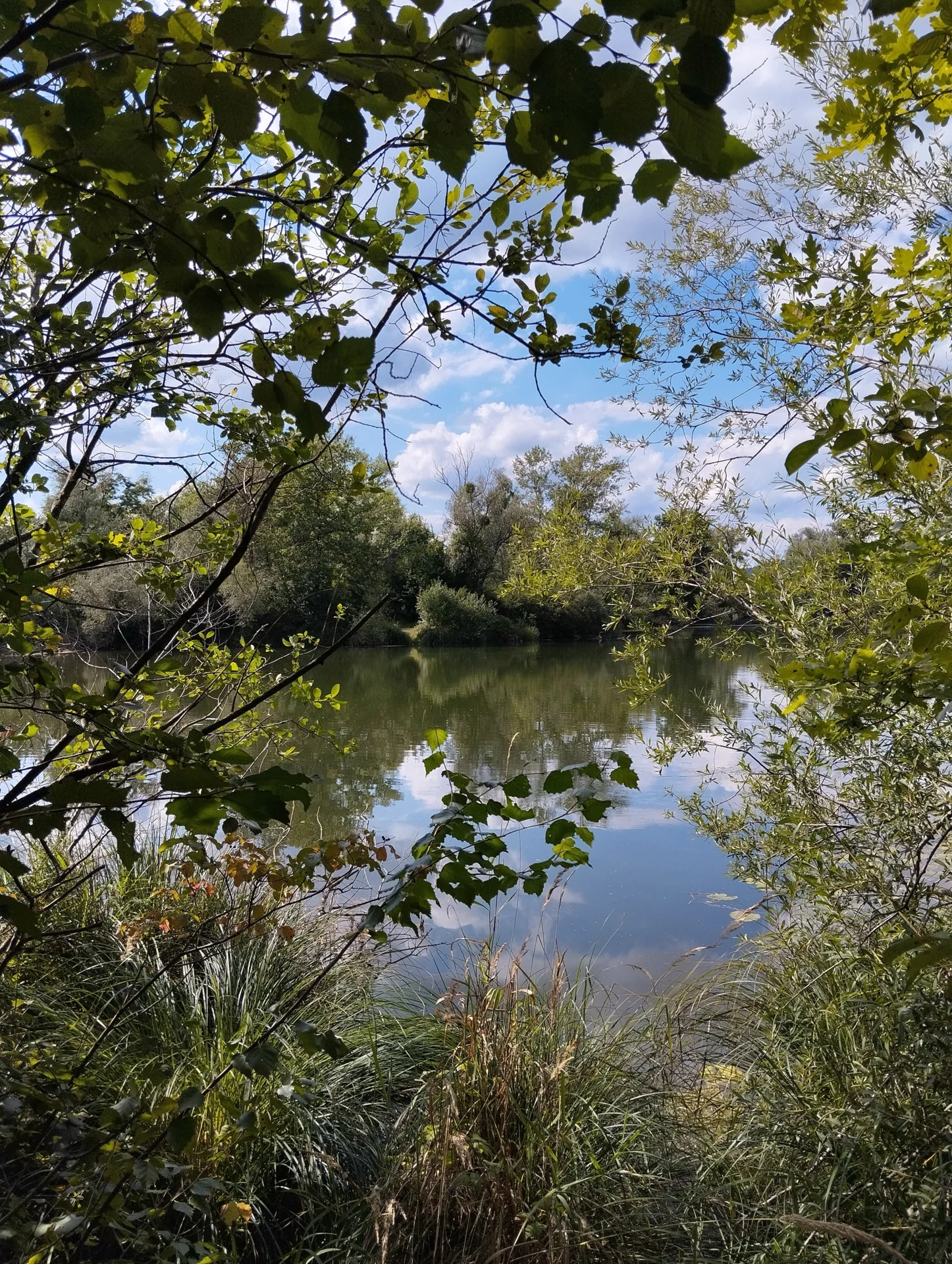 Bild: Waldsee, Kirchdorf a. Inn