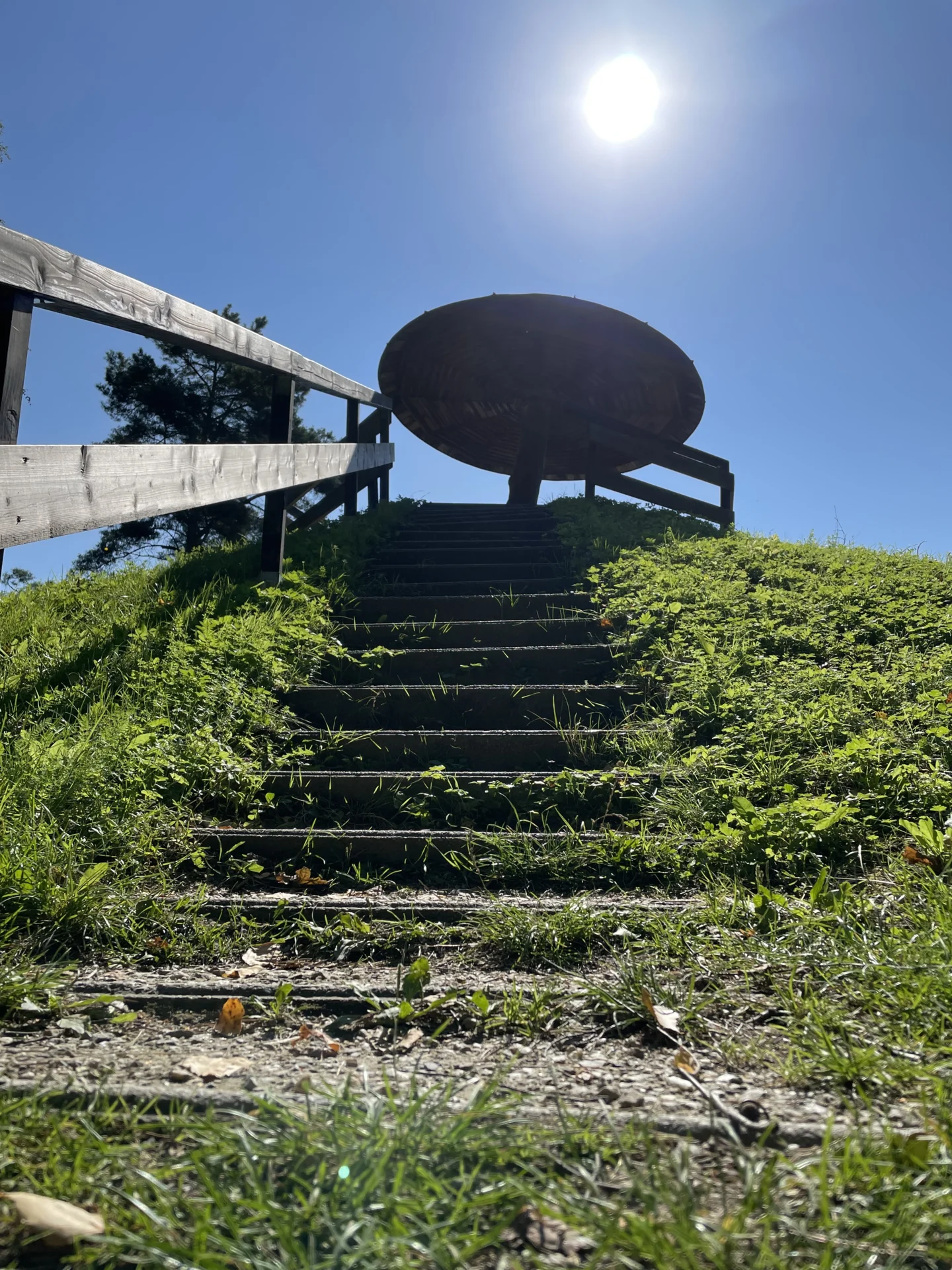 Bild: Aussichtspilz am Schellenberg