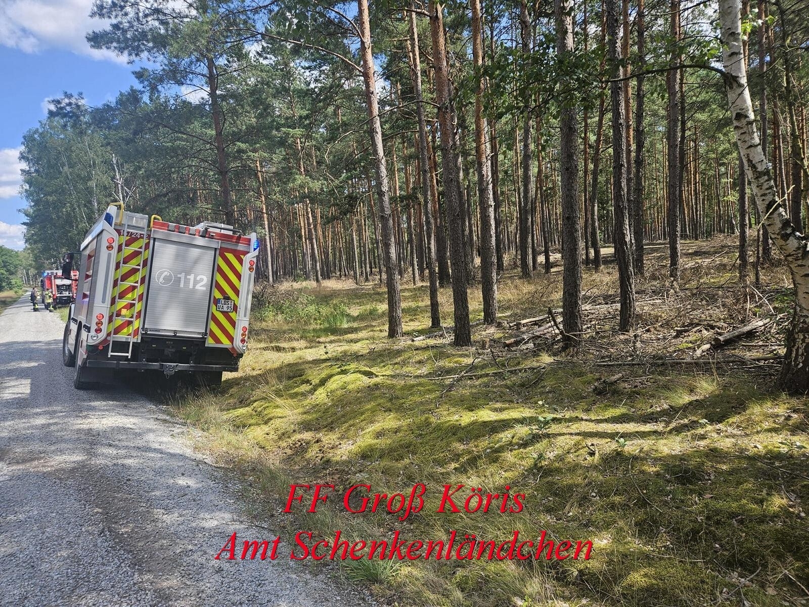 Foto der Galerie: Einsatz Nr. 56/2024 B:Wald-Groß/WSP