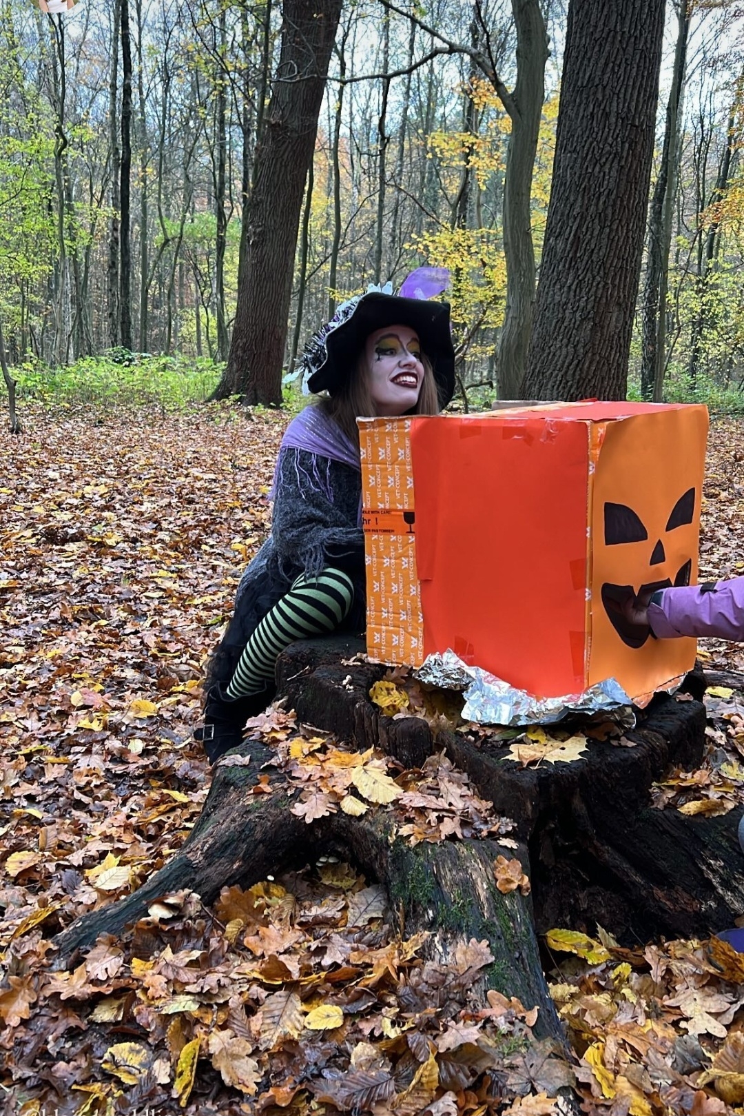 Bild der Galerie