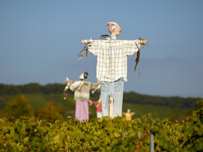 Vorschaubild der Galerie