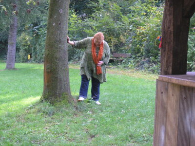 Vorschaubild der Galerie