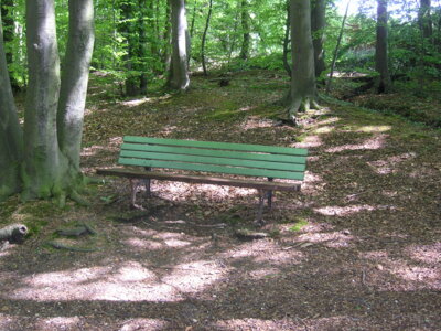 Vorschaubild: Knippbahn